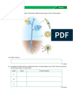 Year 10 Specialist Biology Assignment 5