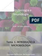 Microbiologia e Imunologia: Prof . DR Alice Ornelas
