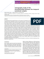 Temporal Bone Position Impacts Craniofacial Morphology