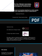 Caracterización Molecular de Microbiota Intestinal en Recién