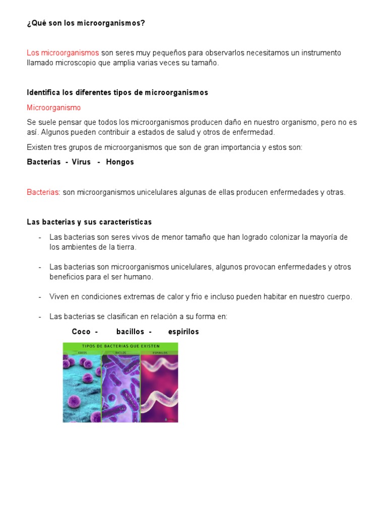 Tipos de microorganismos y su impacto | PDF | Virus | Microorganismo