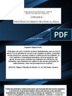 Unidade Ii - Princípios Do Direito Processual Penal: Universidade de Fortaleza - Unifor Centro de Ciências Jurídicas