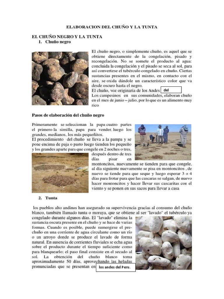 Proceso de Elaboración del Chuño | PDF
