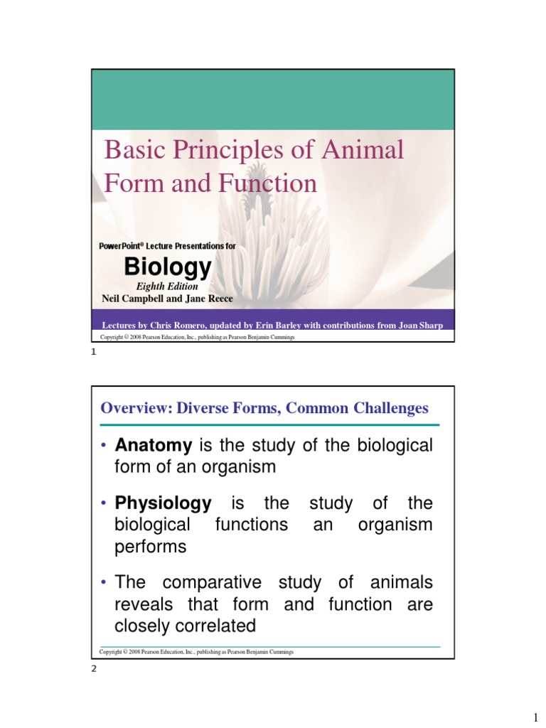 Basic Principles Of Animal Form And Function