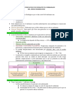 Cambios Fisiológicos Durante El Embarazo