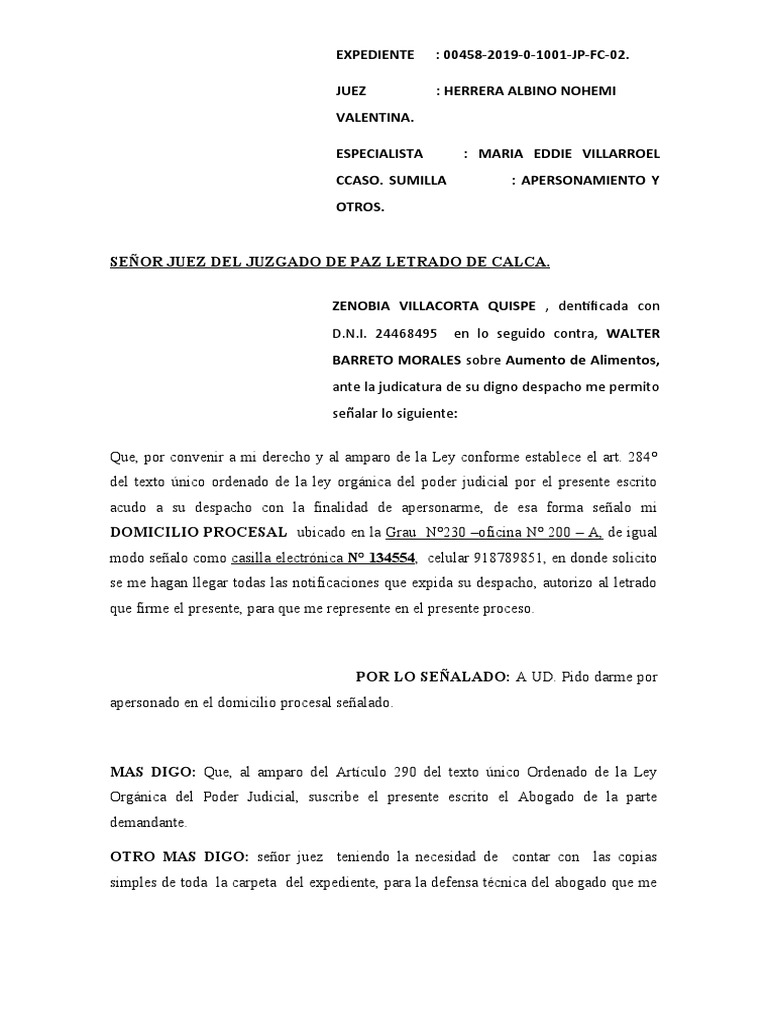 Apersonamiento pdf