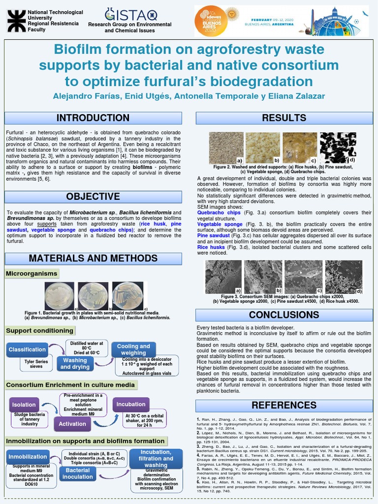 2020 Sdewes Poster Biofilm | PDF | Biofilm | Bacteria