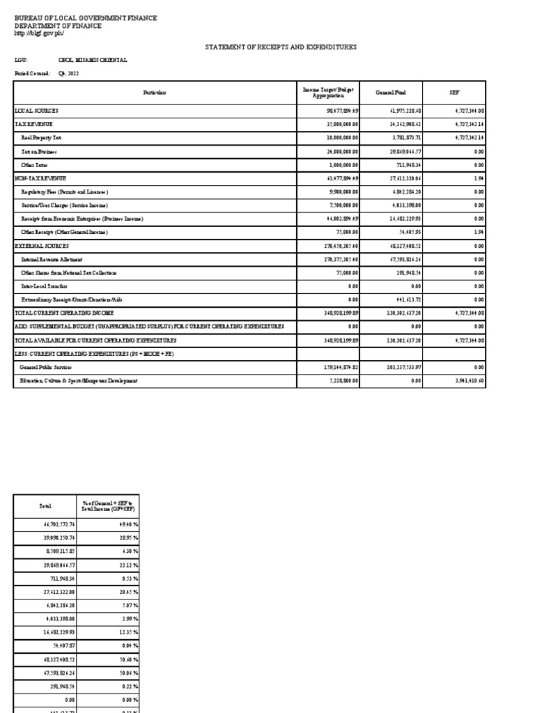 LGU Receipts and Expenditures Report | PDF | Debt | Loans