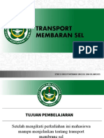 2 Transport Membran