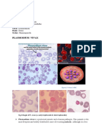 S Porozoa Plasmodium: Scientific Name: Plasmodium Higher Classification: Plasmodiidae