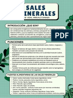 Sales Minerales