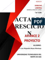 Actas de Rescicio N: Avance 2 Proyecto