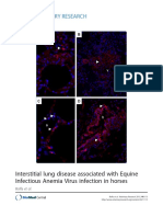 Interstitial Lung Disease Associated With Equine Infectious Anemia Virus Infection in Horses