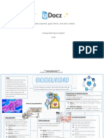 Accede A Apuntes, Guías, Libros y Más de Tu Carrera: Bioseguridad-Mapa-Conceptual 1 Pag