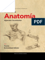 Anatomia Cuaderno Aparato Locomotor