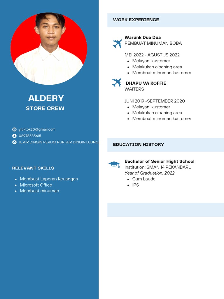 Blue Light Blue Color Blocks Flight Attendant CV PDF
