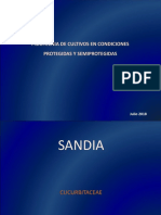 Sandia