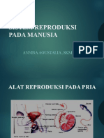 Sistem Reproduksi Pada Manusia: Annisa Agustalia.,Skm