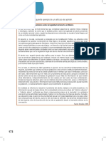 La Legalidad Del Aborto en México Opinión