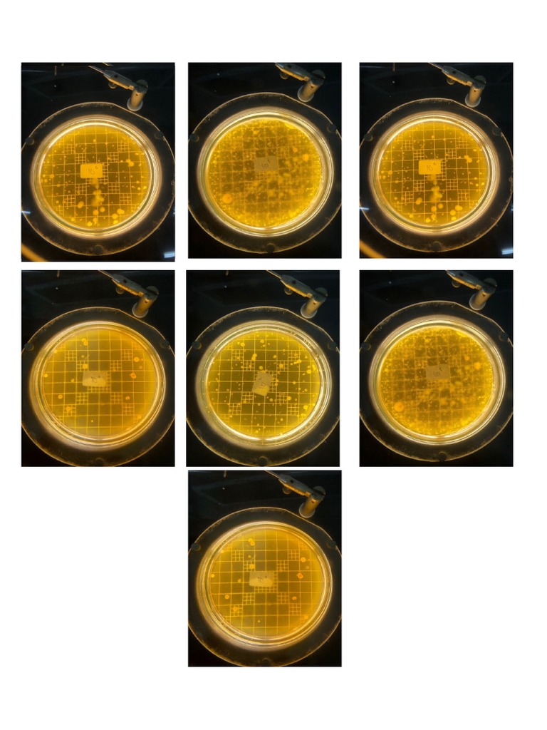 03 04 23-gambar halima | PDF