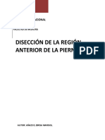 dISECCIÓN DE LA REGIÓN ANTERIOR DE LA PIERNA