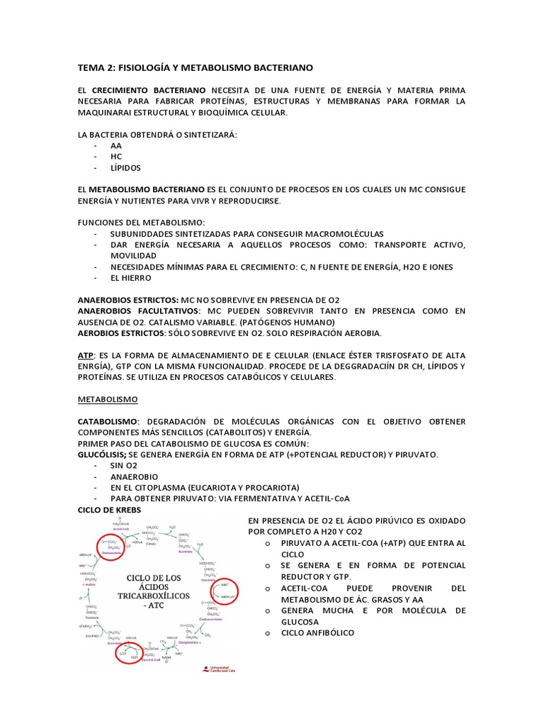 Tema 2 Micro | PDF | Metabolismo | Respiración celular