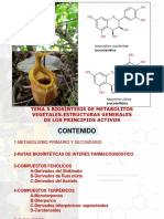 Biosíntesis de metabolitos vegetales y principios activos