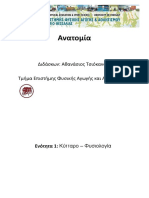 ΑΝΑΤΟΜΙΑ ΤΣΙΟΚΑΝΟΣ ΑΘΑΝΑΣΙΟΣ Πανεπιστήμιο Θεσσαλίας