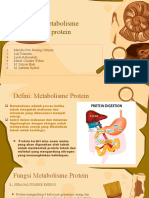 Metabolisme Protein