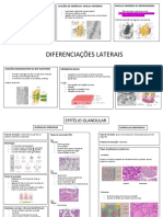 HISTOLOGIA 