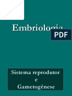 Embriologia