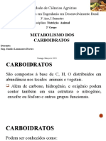 Metabolismo Dos Carboidratos - Na