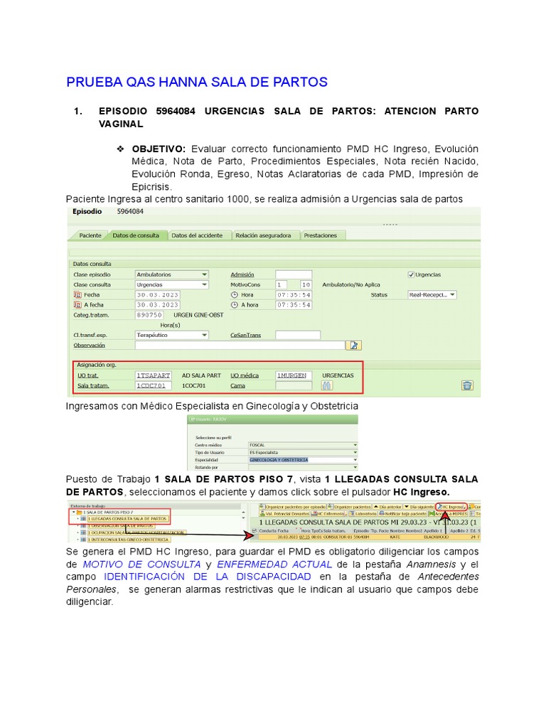Prueba Hanna Sala de Partos | PDF | Parto | Partería