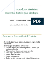 Aparelho Reprodutor Feminino: Anatomia, Histologia e Citologia