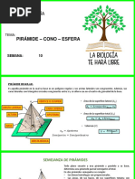 Piramide Cono Esfera