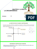 abalitica y circiu ferenvia