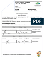 South Africa Private Company MOI Form | PDF | Board Of Directors ...