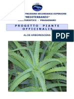 Aloe Vera Precauciones