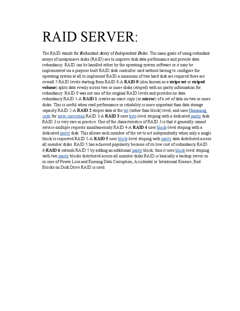 Raid Server | PDF