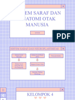 Sistem Saraf Dan Anatomi Otak Manusia: Enter