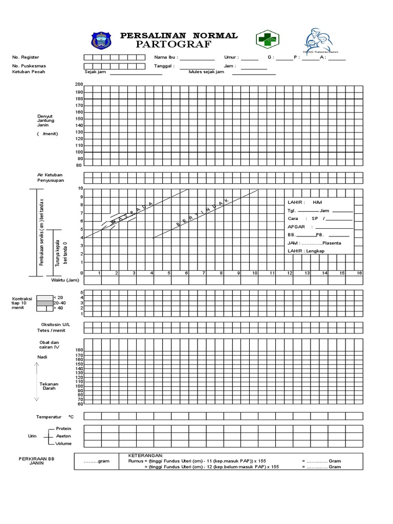 Catatan Partograf Persalinan Normal | PDF