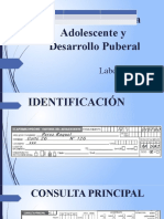 Copia de Laboratorio Adolescencia 2022