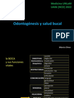 Odontogenesis y Salud Bucal Elmo 16 05 22