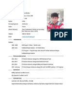 CURRICULUM VITAE Indra