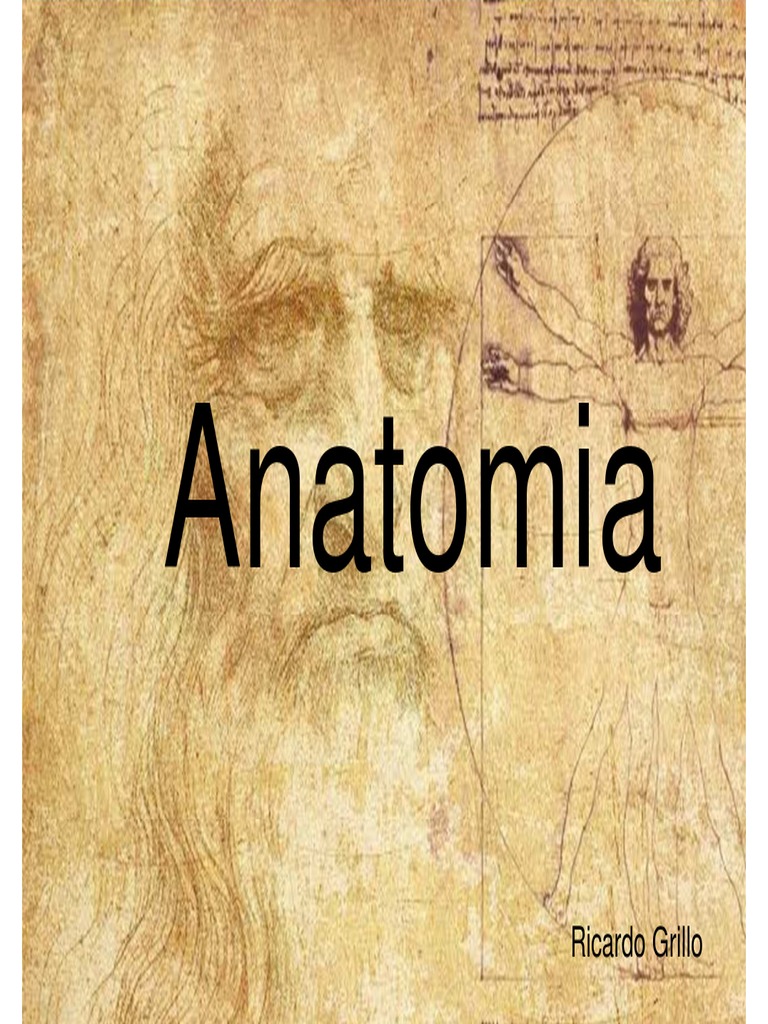 Anatomia De Face Pdf Rosto Anatomia Humana