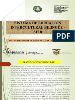 Sistema de Educación Intercultural Bilingüe - Seib: Instrumentos de Planificaciones Curriculares