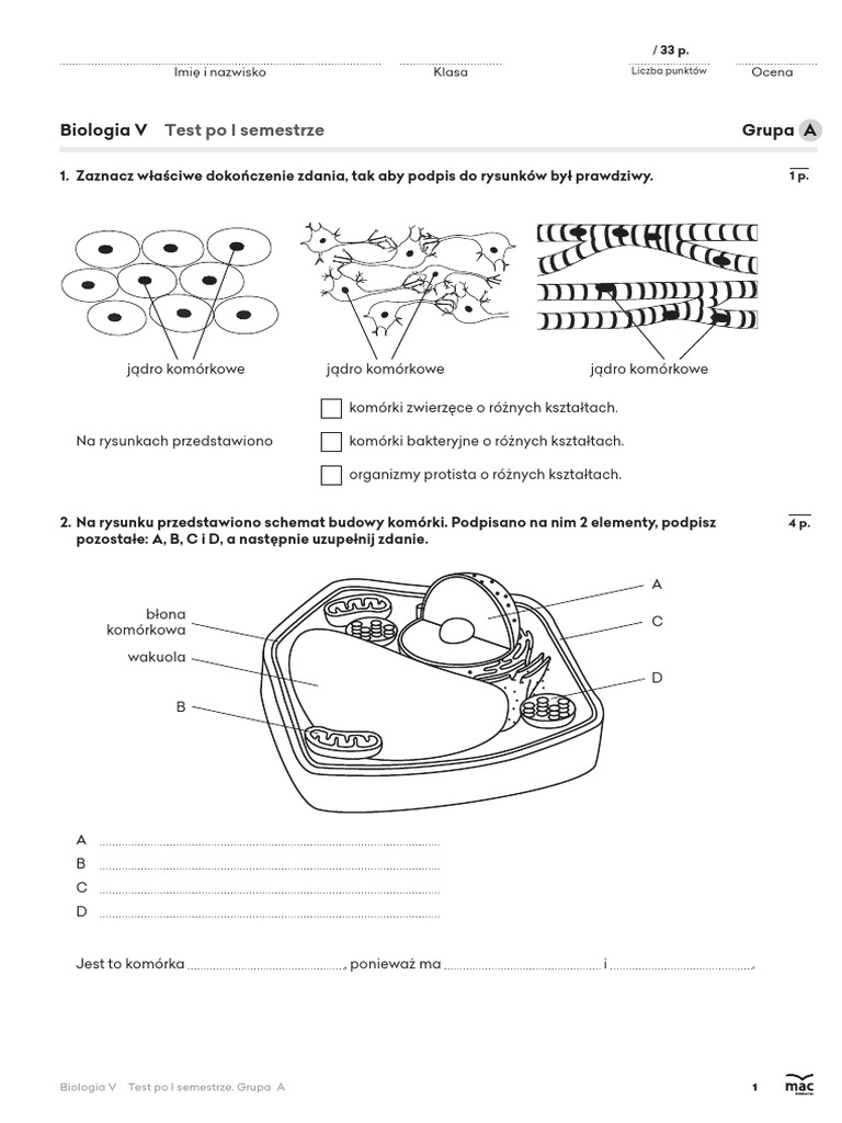 Budowa Komórki Test Klasa 5