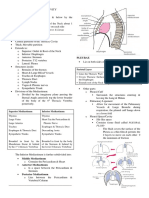 Thoracic Cavity (Chapter 3)