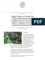 Salak Palm - A Guide For Tropical Permaculture - Porvenir Design