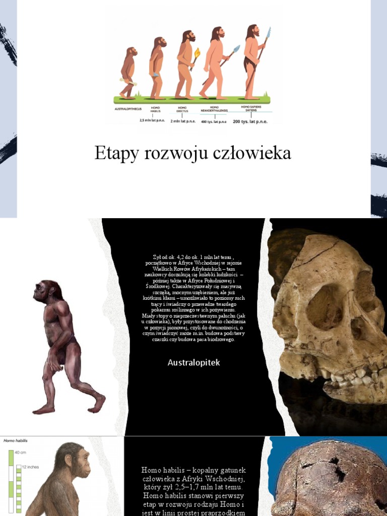 Etapy Rozwoju Człowieka | PDF